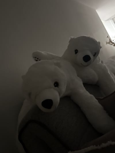 The image is a low-angle, close-up shot of two white, plush polar bear stuffed animals. One bear is positioned slightly in front of and above the other, with its head and part of its body visible. The second bear is largely obscured, with only its head and a portion of its body showing. Both bears have black button eyes and black stitched noses. The fur of the bears appears soft and fluffy.

The bears are resting on a dark, textured surface, possibly a couch or cushion. The background is dimly lit and predominantly dark gray, with some areas of lighter gray and white, suggesting an indoor setting with low lighting conditions. A thin, dark cable or cord is visible snaking across the dark surface behind the bears.

The lighting in the image is soft and diffused, casting subtle shadows. The overall mood is subdued and cozy. No specific time of day, weather, or distinct location cues are evident beyond the general indoor setting. There is no visible text in the image. The composition focuses tightly on the stuffed animals, with the perspective creating a slightly surreal and intimate feel. The image does not depict any people or live animals. The activity taking place, if any, is that the stuffed animals are at rest or being displayed.