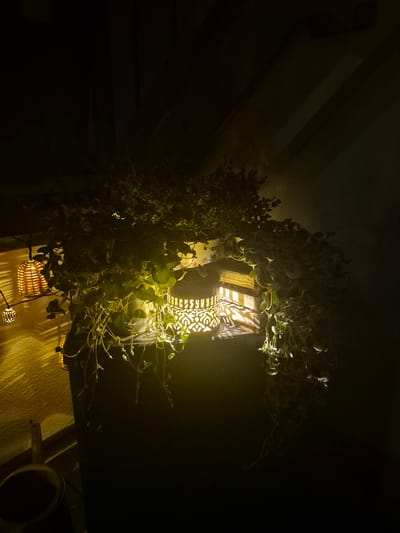 An overhead shot shows a plant with long, trailing vines cascading around a decorative, illuminated lantern. The lantern, with its intricate geometric cutouts, casts a warm yellow light that illuminates the surrounding foliage. To the left, a string of small, woven lantern lights hangs on a textured yellow wall, casting patterned shadows. A dark, cylindrical object, possibly a pot, is visible in the lower left corner. The scene is dark, with the primary light sources being the lanterns, creating an atmospheric and somewhat mysterious ambiance. The image does not provide any contextual clues to determine its location in Hagen, Germany.