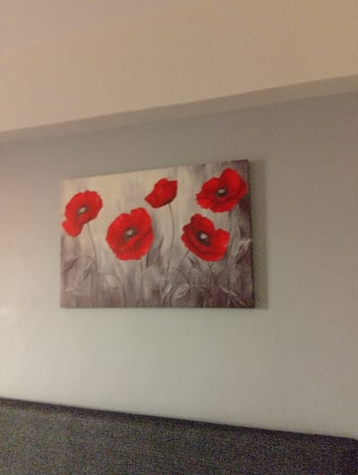 A landscape-oriented canvas print hangs on a gray wall. The print features five red poppy flowers against a gray and white background. The flowers are in various stages of bloom and positioned irregularly across the canvas. The top portion of the frame shows a white ceiling. The bottom reveals a textured gray surface, possibly a headboard or sofa. The lighting casts slight shadows on the wall and the print.