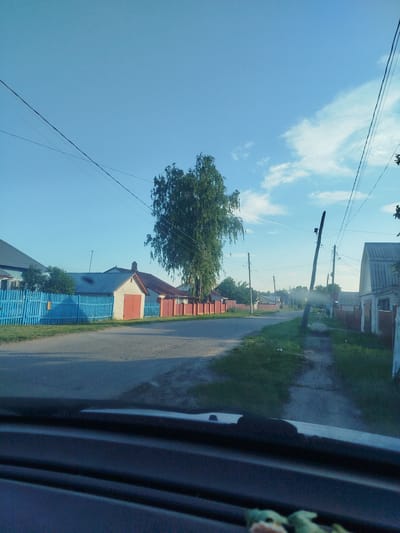 The image shows a street in Krasny Gulyai, Russia, with houses and fences on either side of the road. A large tree stands prominently in the middle of the scene, and power lines crisscross the sky. The sky is clear blue with a few wispy clouds. The road appears to be paved, and there is a sidewalk on the right side of the street. The houses are of various sizes and styles, with some appearing to be made of brick and others of wood. The fences are mostly wooden, with some painted blue and others red. The overall impression is of a quiet, rural village.