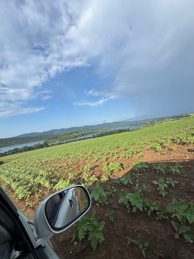 An outdoor landscape photograph captured from a vehicle's perspective shows a vast agricultural field in Sushina, Bulgaria. The foreground on the left includes a portion of a silver car's door frame and an exterior side mirror, reflecting the car's body and part of the adjacent field. The field, characterized by reddish-brown soil, slopes gently downward and is cultivated with numerous young green plants, consistent with sunflower seedlings. In the midground, a long, narrow body of blue water, likely a reservoir or river, stretches horizontally, backed by a distant chain of forested hills. The sky above the left and central parts of the scene is bright blue with scattered white clouds, while the sky on the right side transitions to a darker, overcast gray, suggesting contrasting weather conditions. The scene is illuminated by natural daylight. No individuals or specific actions are depicted.