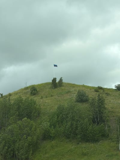 The media file depicts a hilly, green landscape with scattered trees and vegetation under a cloudy sky. The image is oriented vertically, suggesting it was taken from a moving vehicle or tilted camera. A single flagpole with a blue and black flag stands on a grassy incline, partially obscured by trees. The weather appears overcast, creating a diffused light. The overall scene evokes a sense of natural, somewhat wild terrain. There is no visible text within the frame. Given the location context of Peeri, Estonia, the landscape likely represents the Estonian countryside or a park area. The time of day is indeterminate due to the cloudy conditions.