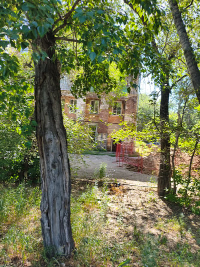 The image captures a view through a tree-lined area towards a multi-story building with a distressed brick facade, suggesting it may be under renovation or in a state of disrepair. The building has visible windows and appears to be a residential or administrative structure. In the foreground, a large tree trunk with textured bark dominates the left side of the frame, partially obscuring the view. Various other trees and dense foliage surround the building, creating a natural, somewhat overgrown environment. A section of red construction fencing is visible in front of the building, indicating ongoing work or a demarcated area. The ground is covered with dirt, leaves, and some sparse vegetation. Sunlight filters through the leaves, casting dappled shadows on the ground. The scene is set outdoors, likely in an urban or semi-urban location, given the presence of the building. Without further contextual information, the specific location within Rubtsovsk, Russia, cannot be definitively identified from the image alone.