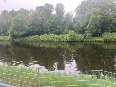 This is a photograph taken from the bank of a canal or river, possibly in Teltow, Germany. A metal fence with vertical bars is in the foreground, with green grass and reeds growing behind it. The water in the canal is dark and reflects the trees and sky. On the opposite bank, a dense line of trees and bushes forms a natural barrier, with various shades of green foliage. The sky is overcast and appears hazy.