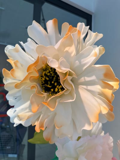 This media file features a close-up, overhead view of a large, artificial flower, likely a peony or chrysanthemum, with white petals edged in a soft peach or light orange hue. The flower is the primary subject, filling most of the frame. Its center is dark, with small, textured yellow stamen-like elements. The lighting suggests it is daytime, with sunlight casting shadows and highlighting the delicate, wavy texture of the petals.

In the background, out of focus, a blurred scene is visible, including what appears to be an indoor setting with a window or glass door, suggesting it might be a decoration in a home, shop, or event space. The hint of a frame around a dark area and a light blue ceiling hint at an interior environment. The overall mood is soft and decorative. There is no visible text. The location context is provided as Slitu, Norway, but there are no specific visual cues within the image to confirm this location.