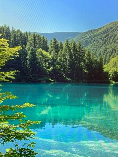 The image depicts a serene natural landscape featuring a clear, turquoise body of water reflecting the surrounding environment. The water's surface is calm, with ripples creating subtle distortions in the reflection of the lush green trees and distant, rolling hills. The foreground is partially obscured by the branches of a tree with vibrant green leaves, adding depth to the scene. The sky above is a clear, bright blue. There are no people or man-made structures visible in the image. The scene appears to be a natural, undeveloped area, likely a lake or river in a mountainous region. There is no information provided in the image or the prompt to specifically place this scene in the city of Konstantinivka, Kyrgyzstan.