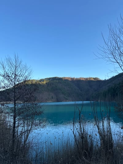 The scene depicts a natural landscape at Erma Reka, Bulgaria. A vast, clear blue sky dominates the upper half of the image. Below, a calm body of water, exhibiting a distinct turquoise hue, stretches across the midground with visible gentle ripples on its surface. The water reflects the blue of the sky.
In the foreground, on the left, stands a bare deciduous tree with thin, dark branches adorned with numerous pendulous catkins or similar structures. To the right, the immediate foreground is occupied by a dense cluster of tall, dry reeds or grasses, characterized by their muted brown and grey tones and visible seed heads. Additional bare branches and dormant vegetation frame the lower edges of the image, partially obscuring the view of the water.
Across the water, a large, undulating forested hill or mountain range serves as the background. Its slopes are covered in a dense mix of dark green coniferous trees and some lighter-brown deciduous vegetation, particularly along its upper ridge. The top edge of this ridge is illuminated by direct sunlight, casting a yellowish-brown glow that contrasts with the generally shadowed slopes below. No individuals, animals, or artificial structures are present in the frame. The lighting suggests a clear day, possibly morning or late afternoon, with the sun at a relatively low angle.