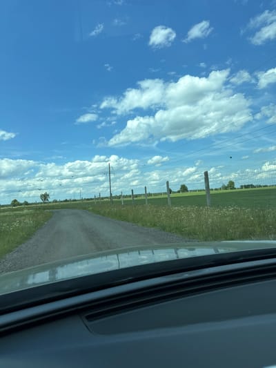 This media file depicts a rural scene in Orlivka, Ukraine, from the perspective of a vehicle. The image is oriented vertically, with the sky occupying the majority of the frame on the left and the ground and a dirt road on the right.
The sky is a vibrant blue, dotted with fluffy white clouds, suggesting a clear and pleasant day. A few power lines are visible stretching across the sky, supported by utility poles that are interspersed along the side of the road. These poles are accompanied by wooden fence posts, indicating a boundary or enclosure.
The road itself appears to be unpaved, made of gravel, and curves gently into the distance. To the right of the road, a field of green grass and wild flowers stretches out, bordered by a fence. In the background, several trees are scattered across the landscape, and the overall impression is one of open countryside.
There are no people visible in the image. The activity taking place is implied to be a journey or drive along this rural road. Notable details include the presence of the power lines and fence posts, which are common features in rural Ukrainian landscapes. The time of day appears to be daytime, likely late morning or afternoon, given the brightness of the sky and the quality of the light. The weather seems fair, with a mix of sun and clouds.
The composition, looking out from within a vehicle, gives a sense of movement and observation. The dark area on the far right of the image appears to be the interior of the vehicle, possibly a window frame or dashboard. There is no visible text in the media file.