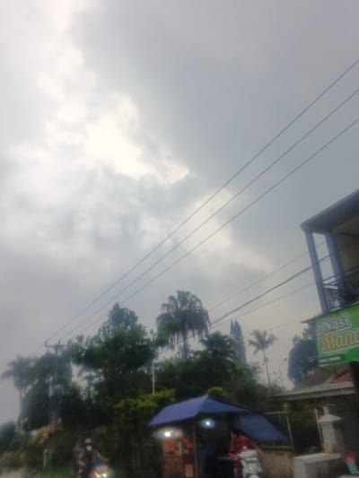 The image presents a street-level view under an overcast sky in Dakshin Hichachhara, India. A dense grey cloud layer occupies the upper portion of the frame, with some brighter regions indicating diffused light. Several utility lines extend horizontally across the upper mid-section.
In the lower-left, a blurry individual wearing a helmet is observed operating a motorcycle, moving rightward. The mid-ground is characterized by abundant green foliage, including several trees and at least one prominent palm tree with downward-hanging fronds. A utility pole is partially visible on the left, obscured by the vegetation.
Towards the center-right, a blue-canopied roadside stall features an illuminated interior. A person is present at this stall. To its immediate right, a white scooter is stationary, with an individual seated upon it, facing left. On the far right, a two-story building is partially visible, featuring an upper-level balcony with dark railings. A large green banner displaying white text, likely an advertisement, is attached to the building's facade. The ground below is indistinct.