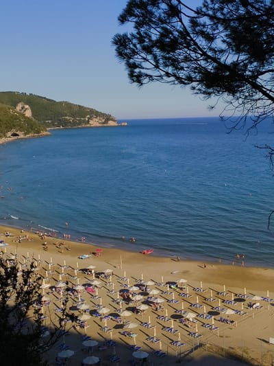 The image is an aerial view of the beach in Sperlonga, Italy, looking out towards the Mediterranean Sea. The beach is lined with numerous rows of empty lounge chairs and umbrellas, with a few people scattered among them and in the shallow water. The sea is a deep blue, with gentle waves lapping the shore. In the background, a hilly, tree-covered coastline forms a dramatic backdrop to the scene. The sky is clear and blue, with a few wispy clouds. The overall impression is one of a peaceful, sunny day at a popular beach resort.