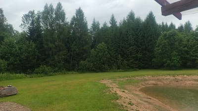 The image shows a natural landscape scene near Piekūni, Latvia. In the foreground, a manicured green lawn stretches across the frame, with a large, grey, rough-textured boulder positioned on the left. A paved area with textured grey stones is visible in the bottom left corner. To the right of the lawn, a sandy embankment slopes down towards a body of water, possibly a pond or a small lake, which appears calm with visible raindrops on its surface. The background is dominated by a dense forest of various trees, primarily evergreen conifers and deciduous trees, with a cloudy sky overhead. A wooden structure, possibly part of a roof or pergola, is visible in the upper right corner of the image.