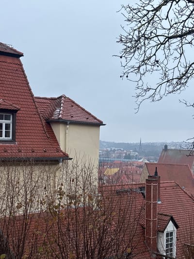 The image depicts an elevated view of the city of Meissen, Germany, under an overcast, gray sky, indicative of a cool or cold day. In the upper right quadrant, bare branches of a deciduous tree, possibly a plane tree, extend into the frame, displaying several dark, spherical seed pods.
In the left foreground, the upper section of a building with a multi-gabled, red-tiled roof is visible. A white-framed, multi-pane dormer window is present on one of its sloped sections. The building's wall beneath the roofline is a light cream or pale yellow hue, featuring a vertical downspout. A light dusting of snow or frost is visible on some of the red roof tiles of this structure.
The midground is densely packed with numerous buildings, all featuring variations of red-tiled roofs. Some sparse, bare deciduous bushes with minimal remaining foliage are situated between the foreground building and these midground structures. A distinctive, light red brick chimney with a decorative, pointed cap is prominent on one of the midground roofs in the lower right section, above another white-framed dormer window.
In the background, the broader cityscape of Meissen extends into the distance, characterized by more red-tiled roofs and scattered trees. A tall, slender church spire rises above the distant urban landscape, serving as a prominent landmark. No individuals or active movements are discernible in the scene.