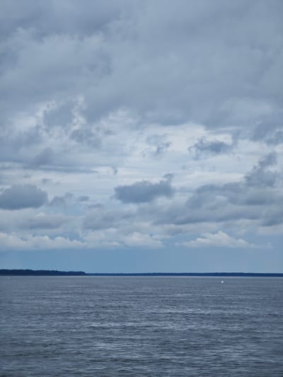 The image depicts a vast expanse of dark, choppy water under a heavily overcast sky. The water stretches to the horizon, where a dark, dense tree line forms a narrow band across the landscape, suggesting a forested shoreline. The sky is filled with layers of grey and white clouds, with some hints of blue peeking through in the upper portion. The overall mood is somber and atmospheric, typical of a cloudy day in a northern climate. There is a tiny white triangular shape visible in the distance on the water, which could be a buoy or a distant sail. The scene is devoid of human presence. Based on the context provided, this image is identified as being taken in the city of Zotino, Russia.