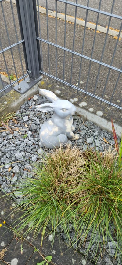 A light gray, weathered garden statue of a rabbit sits in a bed of grey gravel, partially obscured by green and dry grass. The rabbit is in a seated position, facing left with its ears upright. Behind the rabbit, a dark grey metal fence with vertical bars and horizontal supports encloses the area. To the left of the rabbit, the fence is anchored to a concrete base by metal brackets and bolts. The ground beyond the fence appears to be asphalt with a thin white line and scattered yellow debris. This scene is located in Ingolstadt, Germany.