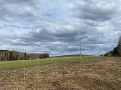 The image depicts a field in Nekrasovo, Russia under an overcast sky. The foreground is composed of dry grass and recently cut vegetation. A gentle slope rises in the midground, covered in sparse green grass. Scattered wooden utility poles run across the landscape. Two forested areas frame the left and right sides of the image. Power lines stretch across the upper left portion of the sky.