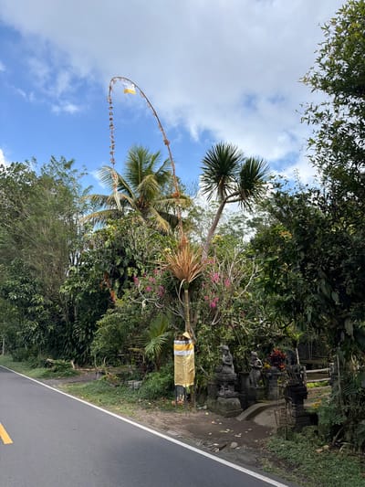 A traditional Balinese Penjor stands tall by the side of a road in Susut, Indonesia. The Penjor is a tall, curved bamboo pole adorned with woven coconut leaves, fruit, flowers, and a small flag at its apex, which features yellow and white colors. At the base of the Penjor, there is a golden cloth wrapping around it.

The scene is lush with tropical vegetation, including palm trees, frangipani trees with pink flowers, and various other dense foliage. A paved road with a yellow line marking runs through the foreground. To the right of the road and the Penjor, there are stone statues of what appear to be Balinese deities or guardians, placed on stone pedestals. A low stone wall and a wooden fence are also visible. The sky is partly cloudy with blue sky peeking through.