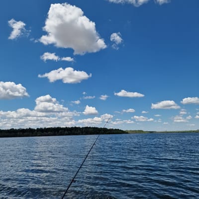 This image captures a serene scene at the Gorni Dabnik reservoir in Gorni Dabnik, Bulgaria. The foreground features the dark, rippled surface of the water, with a fishing rod extending diagonally from the lower right corner upwards into the frame. The fishing rod appears to be black with red guides. Beyond the water, a dense line of dark green trees forms the shoreline, stretching across the midground of the image. The background is dominated by a vibrant blue sky filled with scattered white, puffy cumulus clouds of various sizes, some appearing larger and more detailed, while others are smaller and more distant. The overall impression is one of a calm day at the reservoir, likely during daylight hours with good weather.