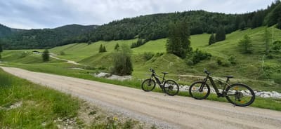 This image captures a wide-angle view of a mountainous rural landscape, identified as being in the vicinity of Erl, Austria, under an overcast sky. In the foreground, a light-colored, unpaved dirt or gravel road traverses the scene from the lower left to the center-right, receding into the midground. Two mountain bikes are positioned on the right edge of this road. The bike closer to the foreground is dark grey or black, equipped with a visible battery pack on its downtube, indicating it is an e-bike, and has a kickstand deployed. The second bike, positioned slightly further back and to the right, is olive green. Both bikes feature knobby tires, suspension forks, and disc brakes. Adjacent to the road and behind the bikes on the right, a rocky, dry streambed with sparse vegetation is visible.
The midground features gently rolling green hills with visible contour lines or terracing, ascending from the road. Scattered evergreen trees and deciduous bushes are present on these slopes. One prominent cluster of conifer trees stands on a small rise on the right side of the valley. A dirt path branches off the main road to the viewer's left, leading towards a small, white building with a dark roof nestled among the distant green fields, visible in the upper-left midground.
The background consists of larger, densely forested mountainsides, primarily covered with dark green conifer trees, rising steeply under a uniformly grey, cloudy sky. No individuals are visible, and the bikes are stationary, parked on the roadside. The overall scene depicts a serene natural environment.
