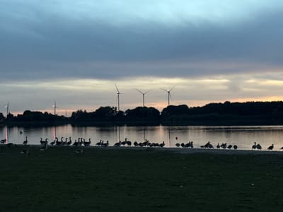 The image depicts a serene twilight scene at the Kleinflecken reservoir in Neumünster, Germany. Silhouettes of numerous geese are gathered along the water's edge and on the grassy bank in the foreground. The water reflects the dusky sky, which is characterized by dramatic clouds in shades of blue and gray, with hints of orange and yellow near the horizon, suggesting the sun has recently set. Three wind turbines are visible in the distance, standing tall against the sky, their blades static. The shoreline is lined with a dark silhouette of trees and vegetation. The overall atmosphere is tranquil and natural, with the presence of the wind turbines indicating a blend of natural landscape and renewable energy infrastructure. There are no human figures visible in the image.