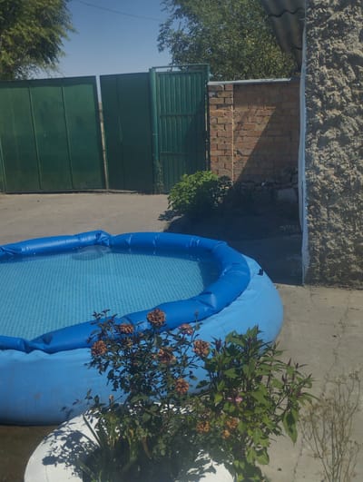 The image depicts an inflatable blue swimming pool situated on a concrete surface outdoors, likely in a backyard area. Green metal gates are visible in the background, along with a brick wall and a rough stone wall. Lush green trees and foliage surround the scene, suggesting a natural or semi-rural environment. The lighting indicates a sunny day. There are no people or animals visible in the image, and the focus is on the swimming pool and its surroundings. The exact location within Гроздь, Kyrgyzstan, cannot be determined from the image alone.