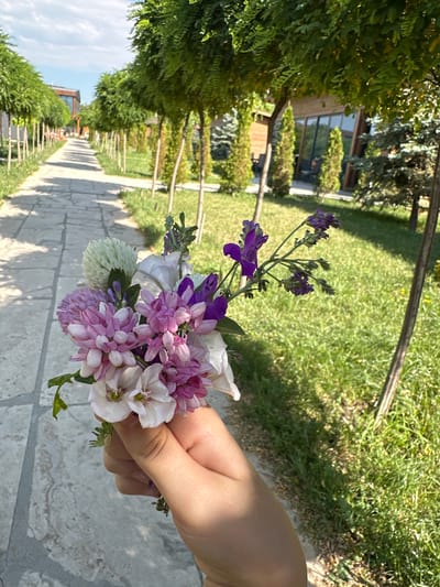 In Ashtarak, Armenia, a hand holds a small bouquet of white, pink, and purple flowers. The flowers are clustered together, with some delicate purple blooms extending from a stem above the main bunch. The bouquet is held in front of a path paved with large, light-colored stones. To the right of the path, a lush green lawn is bordered by a line of trees with dense foliage, and further in the background, buildings with wooden accents and large windows are visible. The scene is bathed in natural sunlight, casting dappled shadows on the path.