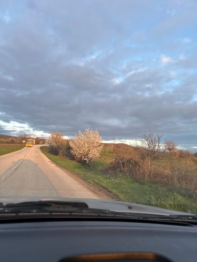 The image depicts a view from inside a vehicle, likely a car, driving along a narrow asphalt road. The road is flanked by grassy hillsides and flowering trees, suggesting a rural or countryside setting. In the distance, a yellow vehicle is visible on the road ahead. The sky above is filled with dramatic, dark clouds. The image was taken in the city of Suhache, Bulgaria.