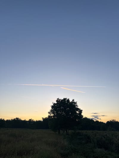 The image depicts a rural landscape at dusk in Dolno Sahrane, Bulgaria. The sky is a gradient of deep blue at the top transitioning to a pale yellow and orange near the horizon. Two distinct contrails from aircraft are visible, one a bright white line and the other a more diffused, yellowish line, suggesting the setting sun is illuminating them. In the foreground, a field of dry grass and vegetation stretches across the lower half of the frame. A dark silhouette of a single, leafy tree stands prominently in the middle ground, with a dense line of trees forming the horizon behind the field. The overall atmosphere is serene and still, characteristic of twilight in a rural setting. There are no people or animals visible in the image.