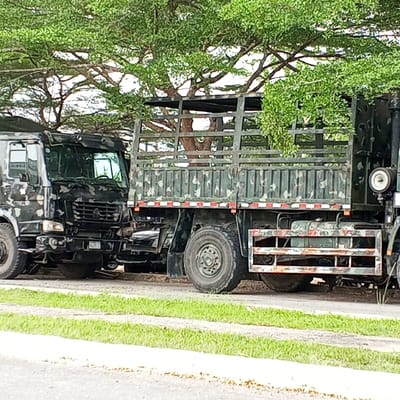 Two military-style trucks are parked stationary on a dirt shoulder adjacent to a paved road surface in Koko, Nigeria. The truck on the left exhibits a dark, mottled camouflage pattern primarily in black and grey, revealing its cab, front grille, and front wheels. The truck on the right is a flatbed military cargo vehicle, painted in a green camouflage pattern, featuring high slatted side rails on its cargo bed. Visible components on the right truck include its rear cab section, cylindrical fuel tanks, and an exposed side protection bar showing signs of rust and wear. A prominent circular lamp or sensor is affixed to its far right side. Both vehicles are fitted with large, heavy-duty tires. The immediate foreground consists of a grey asphalt road and a strip of green grass marked by two parallel, lighter-colored linear depressions. A dense canopy of large trees with vibrant green foliage forms the background, their branches visible through the right truck's cargo bed. No personnel are present within the frame.