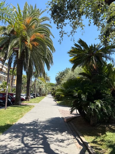 The image depicts a sunny day in Finale Ligure, Italy, likely on a promenade or street lined with palm trees. The foreground is dominated by a gray paved walkway, casting dappled shadows from overhead foliage onto its surface. To the left of the walkway, a strip of vibrant green grass runs alongside parked cars and a few motorcycles. Beyond the grass and cars, multi-story buildings with balconies and windows are visible.

The walkway extends into the distance, leading towards a line of various palm trees and other lush greenery. The palm trees are tall with distinctive textured trunks and large fronds, some bearing clusters of orange fruit. Further down the walkway, a few individuals can be seen walking, suggesting public use of the area. The sky is a clear, bright blue. The overall scene suggests a well-maintained public space in a coastal or Mediterranean urban environment.