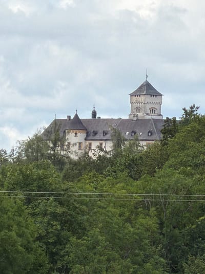 The image shows a castle or large building with a prominent tower, nestled amidst a dense canopy of green trees under a cloudy sky. The building appears to be made of light-colored stone and features multiple rooflines, dormer windows, and a steeply pitched roof on one of its sections. The tower is square at its base, tapering towards the top, with a pyramidal roof and several small windows. The trees in the foreground are lush and varied, obscuring the lower portion of the building and extending to the bottom of the frame. Two thin wires, possibly utility lines, stretch horizontally across the mid-ground, intersecting the foliage. The overall scene is a landscape view of a historical structure partially hidden by natural vegetation.