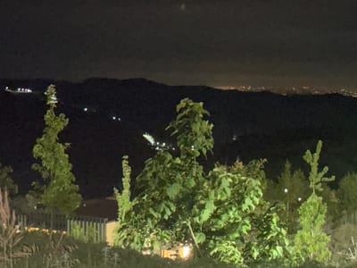 This image captures a nighttime landscape scene. In the foreground, lush green trees and foliage are illuminated by artificial light, creating a dramatic contrast with the dark sky. A fence is visible behind the vegetation, suggesting a residential area or garden. In the mid-ground, distant lights twinkle across a dark mountain range, indicating a populated area or a city spread out in the valley. The sky is dark, with a faint haze and a bright, blurry spot possibly from a distant light source or lens flare. The overall mood is serene and slightly mysterious, with the darkness enhancing the glow of the distant lights. The time of day is clearly night, and the weather appears clear. The scene is likely set in a mountainous or hilly region, possibly with a town or city nestled in the valley below. No text is visible in the image.