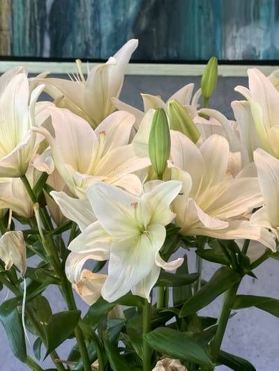 A close-up photograph showcases a bouquet of white lilies. The lilies are in various stages of bloom, with some buds still closed and green, while others are fully open, displaying delicate petals. The petals are primarily white with subtle hints of yellow and green. The flower stems are interspersed with green leaves. The background is a textured light blue and white. The location in the city of Chkalov, Armenia cannot be determined from the visual data provided.
