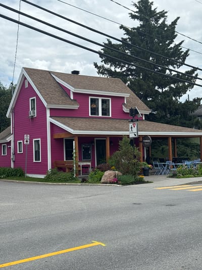 The image captures a side view of a brightly colored, magenta building located in Chelsea, Canada. The building has a pitched, brown shingled roof and white trim around its windows and corners. It features an air conditioning unit installed on one of its upper-level windows. The ground floor has a covered porch area supported by wooden posts, where several light blue outdoor tables and chairs are set up. A circular sign with "TONIQUE" written on it is visible hanging from the porch roof. In front of the building, there is a garden area with various plants, flowers, a large rock, and a wooden bench. A traffic signal with a pedestrian crossing sign is positioned near the building's entrance. The building is situated next to a gray asphalt road with yellow lane markings. In the background, a large evergreen tree towers over the scene, and power lines are strung across the sky, which is overcast.