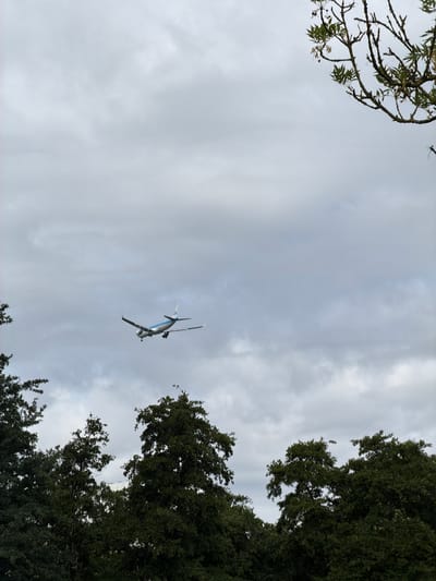 A KLM airplane is seen flying low in the sky, likely on its approach to Schiphol Airport, Amsterdam. The cloudy sky provides a muted backdrop to the aircraft, which is predominantly white with blue accents and the KLM logo visible on its tail. The plane is positioned in the middle right of the frame, its landing gear extended, indicating it is preparing to land. Below the airplane, a dense canopy of dark green trees fills the lower portion of the image, suggesting the flight path is over a park or wooded area. The branches of a deciduous tree, with sparse green leaves, are visible in the upper right corner, reaching into the sky. The overall impression is one of a typical overcast day, with the focus on the approaching aircraft over a natural landscape. This scene is consistent with the aerial approaches to Schiphol Airport, which lie adjacent to Amstelveen, a municipality in the Netherlands.
