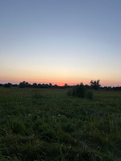 An exterior, eye-level, vertical, medium shot captures a field of green grass and vegetation under a pale blue sky at sunset. The horizon line is low in the frame, with the sky occupying approximately two-thirds of the image. A soft gradient of color transitions from a light blue at the top to a warm pink and orange hue near the horizon, indicating the setting sun. A line of dark trees and vegetation forms a silhouetted border along the horizon, with faint structures of houses visible amongst them. The foreground is dominated by dense, tall green grass and some lighter-colored wildflowers, suggesting a rural or natural setting. The overall lighting is soft and diffused, characteristic of twilight. The image appears to have been taken in Nizhnee Sancheleevo, Russia.