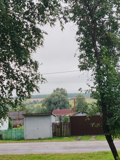 The image depicts a rural scene in Ermolovo, Russia, characterized by overcast skies and lush greenery. In the foreground, a paved road runs horizontally across the frame, bordered by a strip of green grass. On the left side of the road, a vibrant green wooden fence encloses a yard. Behind the fence, a portion of a white building is visible. Adjacent to it stands a gray metal garage with double doors. Further to the right, a brown wooden fence forms a boundary, and beyond that, a large brown gate is visible.

The middle ground reveals a collection of buildings, including a structure with a red roof and what appears to be another garage or shed. A wooden fence with vertical slats separates some of these structures. The background presents a rolling landscape with fields of varying shades of green and tan, dotted with trees and vegetation, suggesting an agricultural or natural setting. Two power lines traverse the mid-background horizontally.

The foreground is framed by the dense foliage of two trees, one on the left and another on the right, with their branches arching towards the center of the image. The leaves are a vibrant green, suggesting a temperate climate. The overall impression is one of a quiet, possibly damp, day in a village or rural settlement. There are no people or animals visible in the scene.