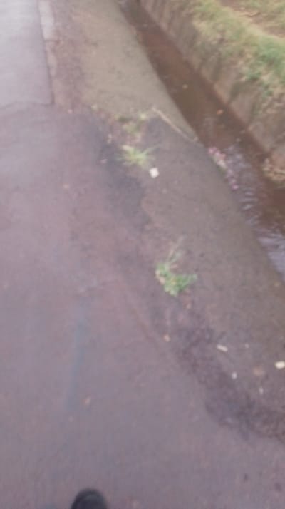 A blurred image shows a wet, asphalt road surface in the foreground. Adjacent to the road, a concrete curb separates the pavement from a narrow drainage ditch with water. Sparse green vegetation grows along the edge of the curb. The overall scene appears to be outdoors.