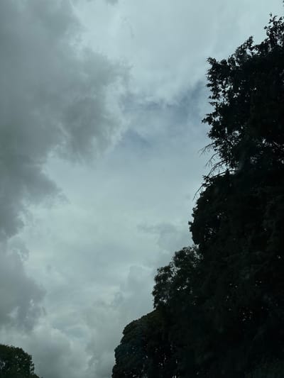 The image depicts a view of the sky from the ground, with the dark silhouettes of trees framing the right and bottom edges. The sky is filled with overcast, grey clouds, indicating a cloudy or potentially rainy day. The trees are dense and leafy, with some bare branches visible. The lighting is dim, suggesting it may be early morning, late evening, or simply a heavily overcast day. The location is specified as Scartnamore, Ireland, a rural area known for its lush greenery and often cloudy weather. No people or specific actions are visible in the image.