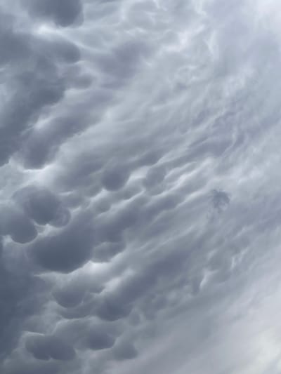 The image displays a close-up, overhead view of a sky filled with dramatic cloud formations, specifically characteristic of mammatus clouds. The primary subject is the dense, undulating cloud cover, dominated by shades of grey ranging from deep shadows to luminous lighter areas where light penetrates or illuminates the cloud surfaces.

The most notable detail is the presence of numerous, distinctive pendulous pouches or bulges hanging downwards from the base of the clouds. These mammatus formations create a textured, lumpy, and somewhat chaotic appearance across the entire frame. The clouds vary in density and form, with some sections showing smoother, wavy patterns while others exhibit more pronounced, rounded lobes.

There are no discernible people, man-made objects, or specific activities taking place. The scene captures a natural atmospheric phenomenon, suggesting an overcast and potentially stormy weather condition, as mammatus clouds are often associated with severe thunderstorms or unstable atmospheric conditions. The lighting is diffused, indicating an absence of direct sunlight. No visible text is present in the image. The geographical context provided for the image is Ziyovuddin, Uzbekistan.
