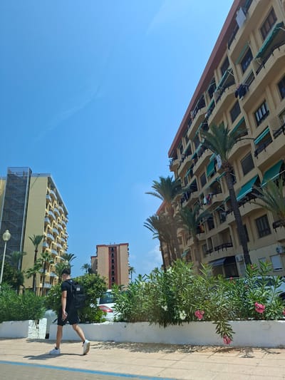 The image depicts a street scene in San Javier, Spain, on a clear, sunny day. A young man wearing a black t-shirt, black shorts, white sneakers, and a black backpack is walking on a paved sidewalk. He is carrying a smartphone in his right hand. The sidewalk is bordered by a low white wall and dense green foliage with pink and white flowers.

Behind the foliage, there are several multi-story buildings. To the left, a tall, light yellow building with a grey lattice structure on top is visible, with palm trees in front. In the middle distance, a reddish-orange building with "MADRID" written on its facade stands between the two larger buildings. To the right, a large, light brown building with multiple balconies, awnings, and laundry hanging from some of them dominates the right side of the frame. Palm trees are also present in front of this building. The sky is a clear, bright blue. A white car is partially visible behind the greenery.