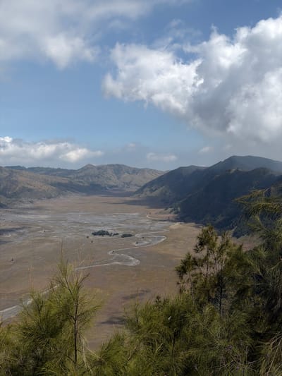 The image depicts a panoramic view of a vast, barren landscape, characteristic of the Sea of Sand in Cemorolawang, Indonesia. The foreground is dominated by lush, green foliage, likely from pine or cypress trees, which partially obscures the view of the valley beyond. The valley floor is a wide, flat expanse of dry, sandy earth with a winding, shallow riverbed snaking through it, suggesting a seasonal water source. In the mid-ground, low-lying scrub and scattered trees are visible, sparsely dotting the arid terrain. The background is defined by a series of imposing, eroded mountains that rise in layers, their slopes covered in dry vegetation and cast in shadow. The sky above is a clear blue, punctuated by dramatic, white cumulus clouds that cast shadows on the distant mountains. The lighting suggests it is daytime, possibly late morning or early afternoon, with the sun casting sharp shadows. There are no people or animals visible in the scene.