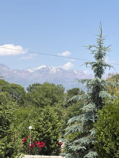 This is a landscape photograph taken in Kara-Oy, Kyrgyzstan. The image features a panoramic view of snow-capped mountains in the distance, partially obscured by a clear blue sky with scattered clouds. In the foreground, lush green trees and foliage dominate the scene. A prominent blue spruce tree with its characteristic needle-like leaves is visible on the left side of the frame, extending upwards towards the sky.

The sunlight suggests it is daytime, likely late morning or early afternoon, given the bright illumination and clear skies. The presence of snow on the mountains indicates a mountainous region that experiences cold temperatures, even during warmer seasons at lower altitudes. The dense greenery points to a region with sufficient rainfall and favorable growing conditions, possibly during spring or summer.

The scene is peaceful and serene, with no discernible activity or people. The focus is on the natural landscape, highlighting the contrast between the rugged mountains and the vibrant vegetation. A thin wire runs diagonally across the sky, possibly a power line, suggesting some level of human infrastructure within the natural setting. In the lower right portion of the image, there are red flowers and a white lamp post, further indicating proximity to a dwelling or cultivated area. The overall impression is one of natural beauty and tranquility.