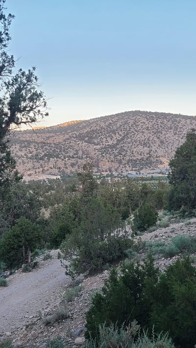 The image captures a scenic view near Ziarat, Pakistan. A mountain slopes upward from left to right, covered in sparse vegetation and featuring a small settlement at its base. The sky transitions from light blue to pale yellow. A steep, rocky incline with greenery borders the right side. Trees frame the lower part of the image.