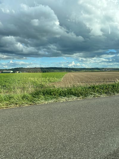 The image depicts a rural landscape near Schwindratzheim, France, under a partially overcast sky. The foreground features the dark grey asphalt surface of a road, occupying the lower third of the frame. Immediately bordering the road, a strip of mixed green vegetation, including tall grasses and broadleaf plants, runs horizontally, with traces of cut vegetation along its edge.
Beyond the foreground, the midground is dominated by two distinct agricultural fields. To the left, a field of vibrant green crops, possibly young plants, stretches towards the horizon. To the right, a contrasting field of brown, tilled soil with visible furrows extends alongside the green field, meeting it along a slightly curved, diagonal boundary line.
In the background, a dark green treeline or forest ridge spans the horizon. To the far left, partially obscured by the treeline, several light-colored farm buildings are visible. To the distant right, a cluster of structures indicates a remote settlement or village. The upper half of the image is filled by a dynamic sky, characterized by large, dark grey clouds and lighter white cumulus formations, with intermittent patches of clear, light blue sky visible between the cloud masses. A faint, thin white streak, consistent with an aircraft contrail, is present in the upper right quadrant of the sky. No individuals or active interactions are observed within the scene.