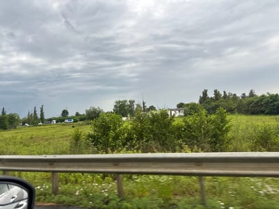 The image depicts a rural roadside scene with a bright metallic guardrail in the foreground, partially obscuring a field of green grass dotted with white wildflowers. Beyond the field, a line of trees forms the horizon, with a few buildings and some white trucks visible on a road in the distance. The sky is overcast with grey clouds. The scene is likely located in the city of Samtredia, Georgia, given the provided context.