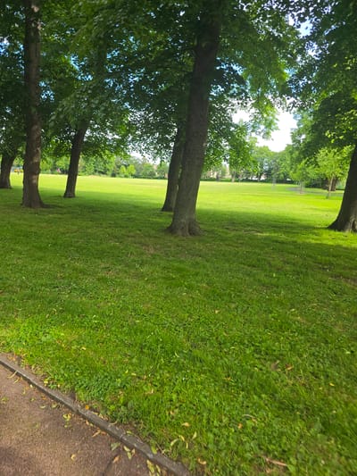 This is a photograph of a park on a sunny day, with lush green grass and mature trees. The scene is peaceful, with no people visible in the foreground or mid-ground. In the background, there are hints of buildings, suggesting an urban or suburban park setting. The image evokes a sense of tranquility and natural beauty within a developed area. The location is not specified in the image.