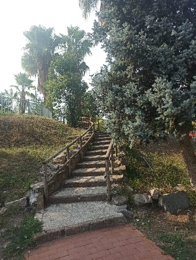 The image depicts a static outdoor scene in a public park or green space within San Marzano sul Sarno, Italy. A set of worn, light-colored concrete or stone steps, approximately fifteen in number, ascends diagonally from the lower center towards the upper left-center of the frame, leading up a natural incline. The steps are flanked on both sides by rustic handrails constructed from debarked wooden logs or branches, supported by vertical wooden posts.
In the immediate foreground, a reddish-brown brick-paved walkway extends from the bottom of the frame and meets the base of the stone steps. To the left of the steps, the ground is covered with grass and sparse dirt, leading up the slope. A green metal fence is visible along the top of this incline, with several tall palm trees and other green foliage prominent beyond it against a bright, hazy sky. To the right of the steps, the ground features more grass, dirt, and several scattered rocks of varying sizes. A large evergreen tree with blue-green needles stands prominently on the right side of the frame, partially shading the ground. Further back, additional green trees and shrubs are visible. The scene is devoid of any individuals, actions, or interactions.