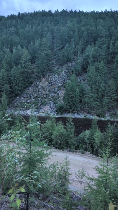 The image depicts a remote, forested area with a dark, slow-moving river in the mid-ground. A rocky, sparsely vegetated cliff face rises behind the river. The foreground features several young evergreen trees and some deciduous foliage, with a dirt road visible winding through the trees. The overall impression is one of natural, undeveloped wilderness. There are no people or man-made structures other than the dirt road. The location is identified as Belenky, Russia, suggesting a mountainous or hilly terrain consistent with the visual information.