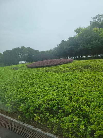 This is an outdoor, eye-level photograph taken on a cloudy day, likely in the city of Yufengshan, China. The scene depicts a gently sloping hill covered in lush, green shrubbery. In the mid-ground, there is a large, oval-shaped bed of reddish-purple plants. Behind this, a line of dark green trees forms a backdrop, and further in the distance, a low, white building with a dark roof is partially visible. The foreground shows a grey concrete curb with a metal grate drain running along its edge. The overall impression is that of a well-maintained park or garden area.
