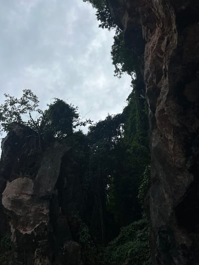 The image captures a low-angle view looking upwards towards a cloudy sky, framed by imposing rock formations and dense foliage. On the left, a large, jagged rock face dominates the foreground, its textured surface illuminated by diffused light. Above and to the left of this rock, a cluster of trees with dark green leaves sprouts from a rocky outcrop.

To the right, another sheer, dark rock face rises steeply, its rough, uneven surface casting shadows. Between these rock formations, a thick canopy of lush green trees and vines creates a dense, almost impenetrable jungle environment. The sky above is overcast, with a uniform layer of gray clouds. The overall scene suggests a natural, rugged environment, possibly a mountainous or cave-like area. The specific location in Tambon Krasom, Thailand, is consistent with such natural landscapes featuring limestone karsts and tropical vegetation. No people or human activity are visible in the image.